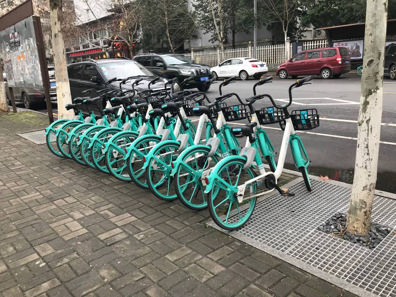 整理好的共享单车.jpg